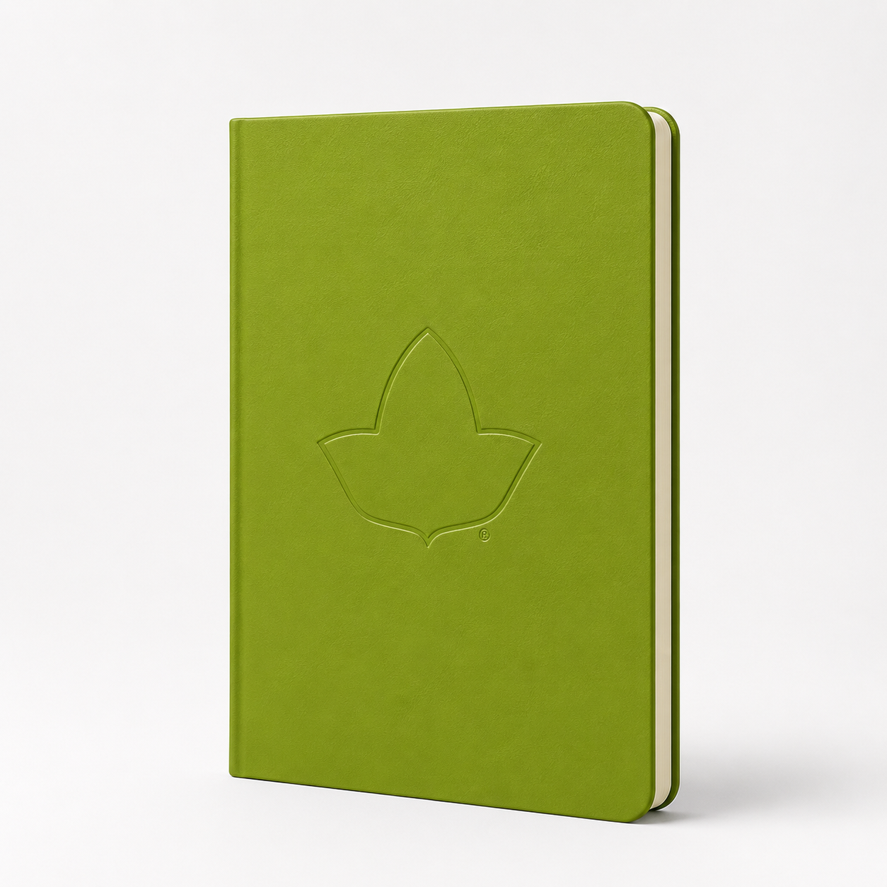 Ivy Notebook