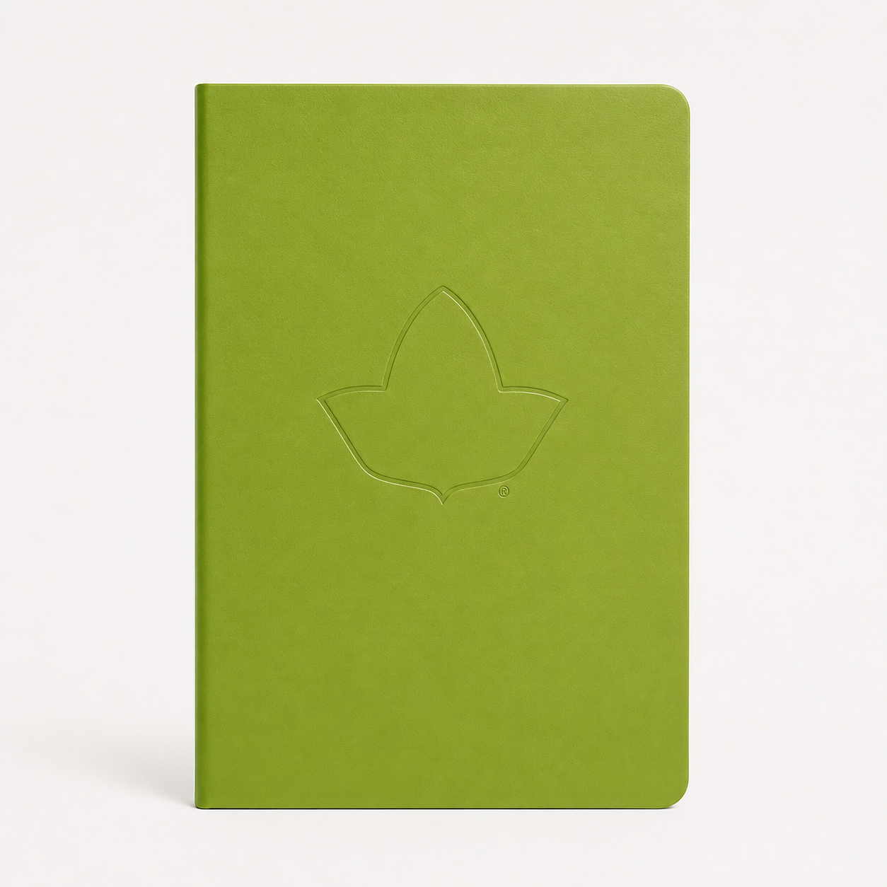 Ivy Notebook